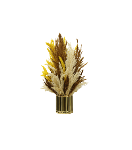 Pampa Désert Chic 45cm