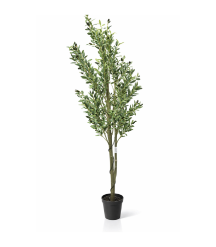 Arbre Olivier (sans pot) 1.10