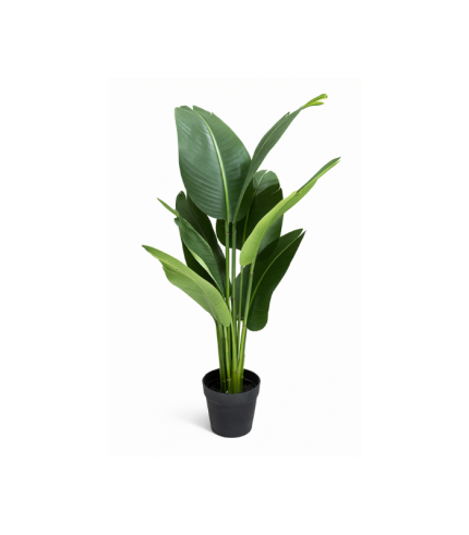 Arbre Tropical Élégance (sans pot 0.90m)