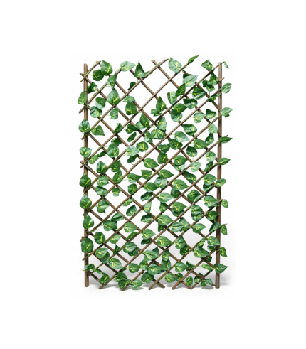 Haie Végétal Modulable