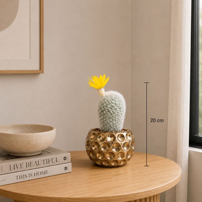 Cactus artificiel blanc avec fleur jaune en pot doré (20cm) – Image 2
