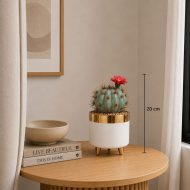 Cactus artificiel boule avec fleur rouge en pot blanc et doré (20cm) – Image 2