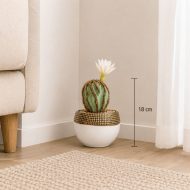 Cactus artificiel avec fleur blanche en pot design (18cm) – Image 2