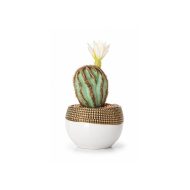 Cactus artificiel avec fleur blanche en pot design (18cm)