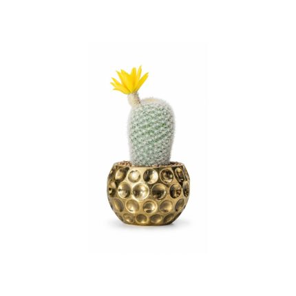 Cactus artificiel blanc avec fleur jaune en pot doré (20cm)
