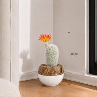 Cactus artificiel blanc avec fleur orange en pot design (20cm) – Image 2