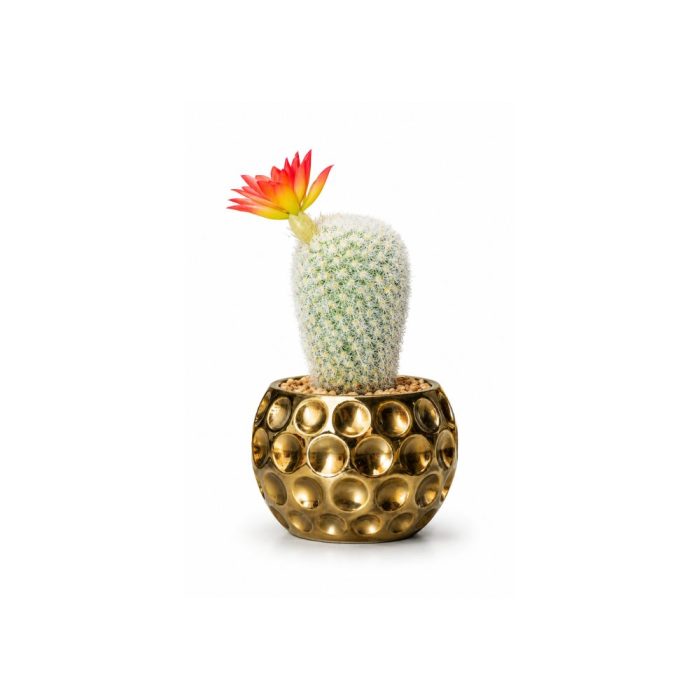 Cactus artificiel blanc avec fleur orange en pot doré (20cm) – Image 1