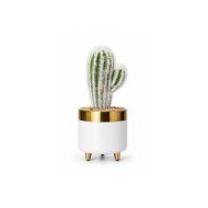 Cactus artificiel blanc design en pot premium blanc et doré (20cm)