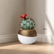 Cactus artificiel rond avec fleur rouge en pot design (20cm) – Image 2