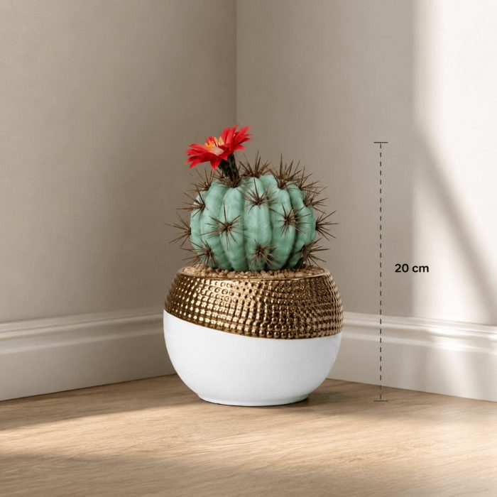 Cactus artificiel rond avec fleur rouge en pot design (20cm) – Image 2