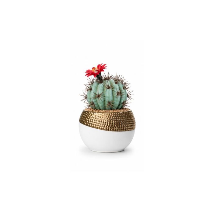 Cactus artificiel rond avec fleur rouge en pot design Cactus artificiel rond avec fleur rouge en pot design (20cm) – Image 1