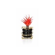 Succulente artificielle rouge en pot noir avec support doré (20cm)