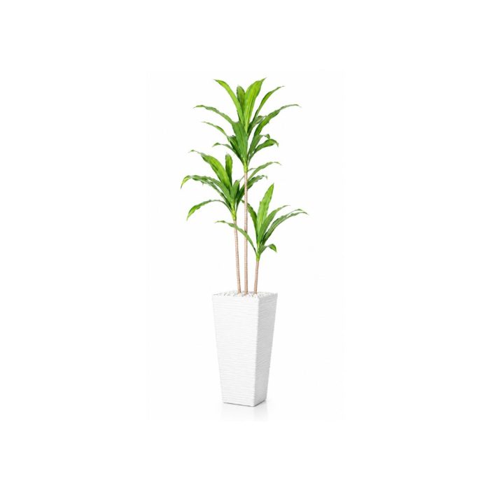 Design sans titre (3) Grande plante artificielle tropicale en pot blanc moderne (150cm) – Image 1