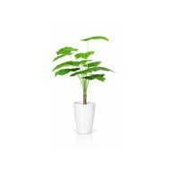 Plante artificielle tropicale élégante en pot blanc moderne (110cm)