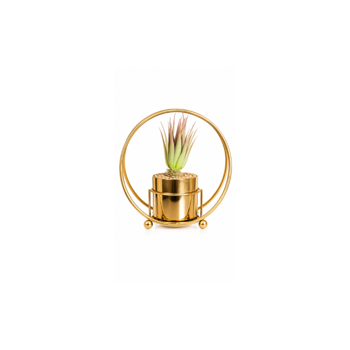 Design sans titre (5) Succulente artificielle moderne avec support doré (20cm) – Image 1