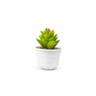 Plante artificielle succulente en pot blanc Décoration élégante et sans entretien (10cm)