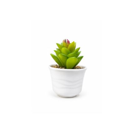 Plante artificielle succulente en pot blanc Décoration élégante et sans entretien (10cm)