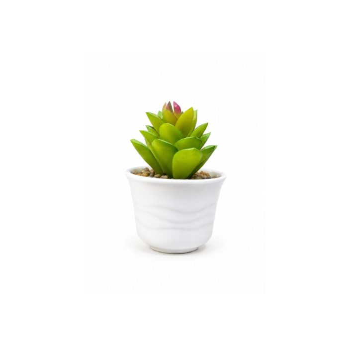 Plante artificielle succulente en pot blanc Décoration élégante et sans entretien (10cm) – Image 1