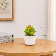 Plante artificielle succulente en pot blanc Décoration élégante et sans entretien (10cm) – Image 2