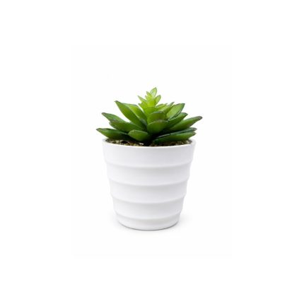 Plante artificielle succulente en pot blanc Petite décoration élégante et sans entretien (14cm)