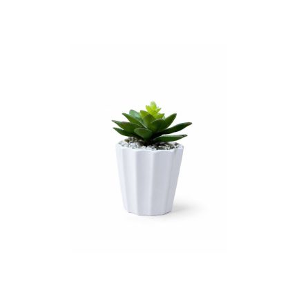 Plante artificielle succulente en pot blanc Décoration moderne et sans entretien (14cm)