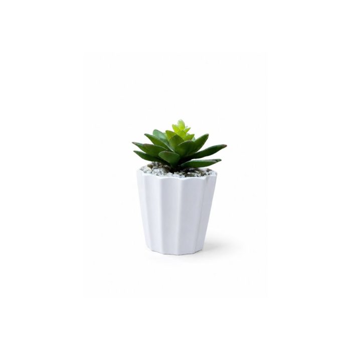 Plante artificielle succulente en pot blanc Décoration moderne et sans entretien (14cm) – Image 1