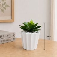 Plante artificielle succulente en pot blanc Décoration moderne et sans entretien (14cm) – Image 2