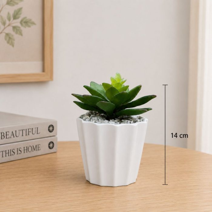 Plante artificielle succulente en pot blanc Décoration moderne et sans entretien (14cm) – Image 2