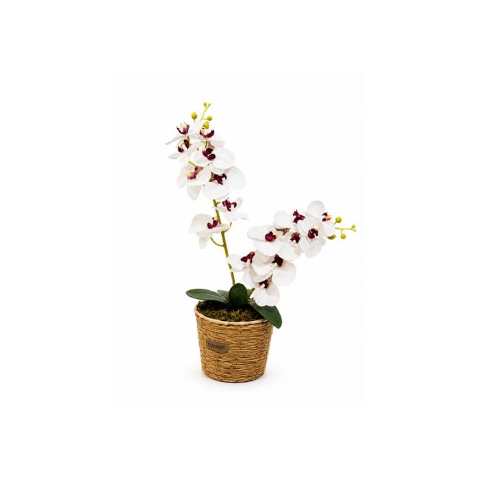 133 Orchidée artificielle blanche en pot tressé décoratif (60 cm) – Image 1