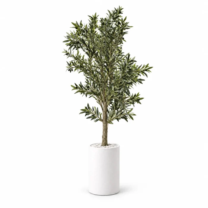 Grand olivier artificiel 170 cm pot blanc Plantora Grand olivier artificiel de 170 cm dans un pot blanc avec galets blancs, sur fond blanc – Plantora