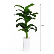 Grande Plante Tropicale Artificielle (150cm)
